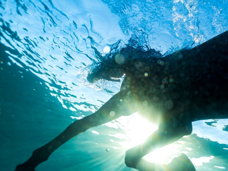 Dream Nails – You Wish&nbsp;REVIEW